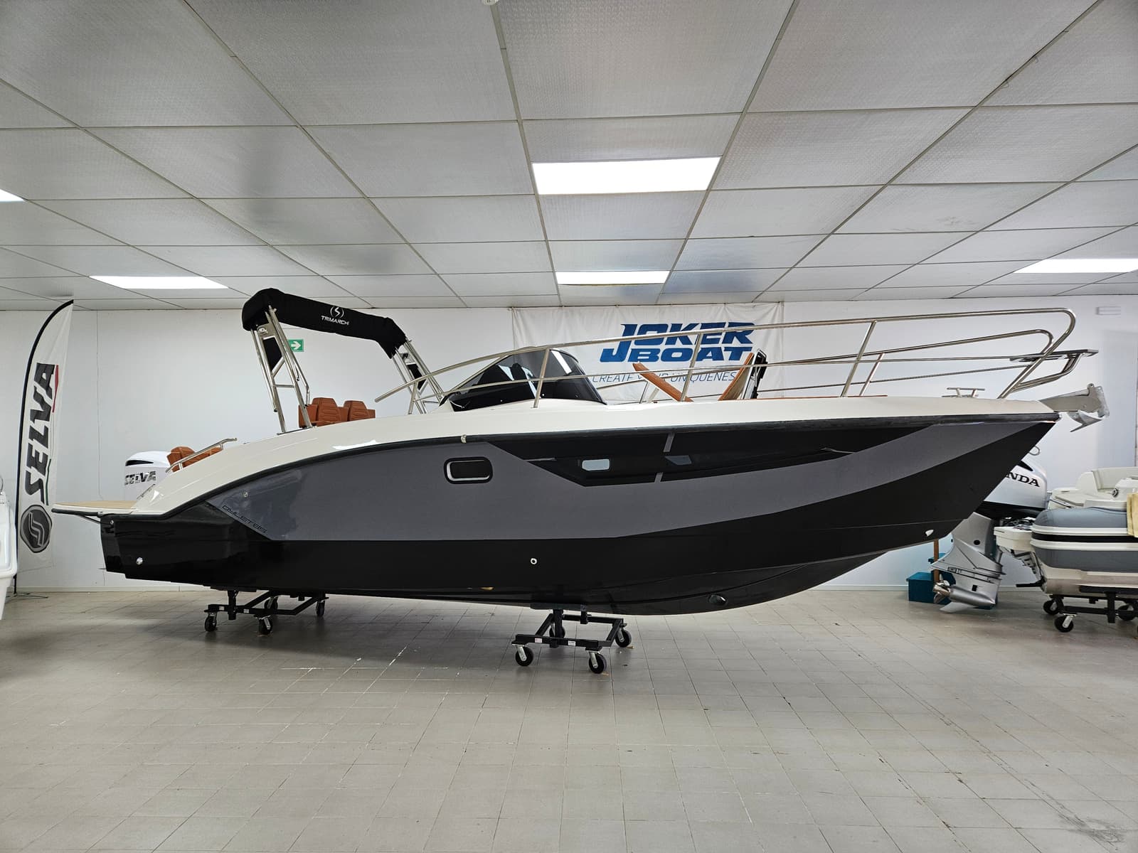trimarchi dylet 85